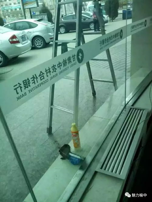 榆中永洁家政 用心服务，洁诚为你，水暖改造的放心之选